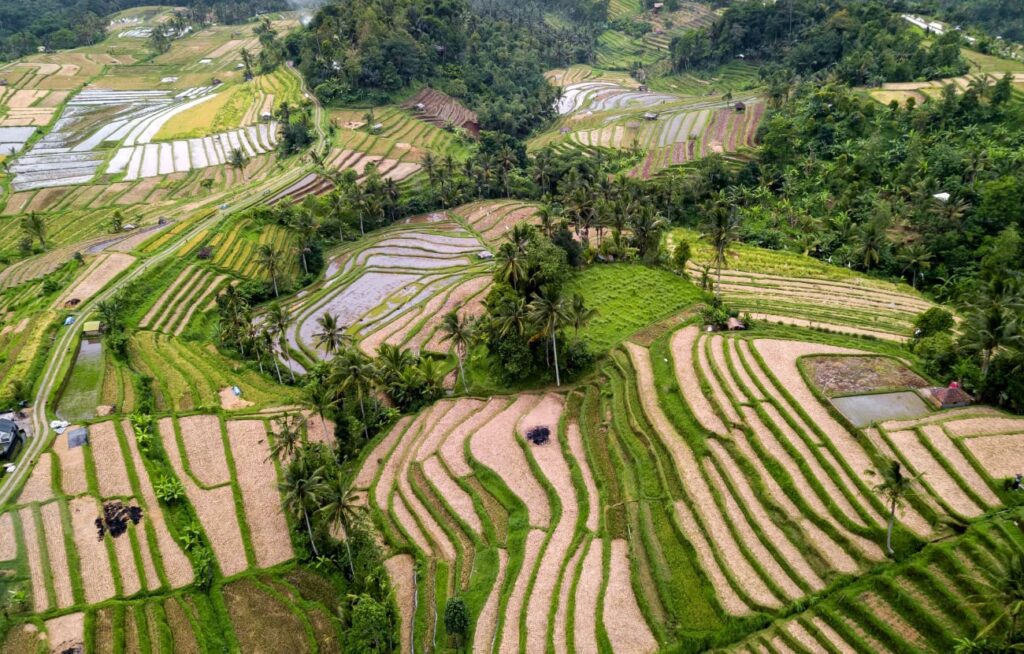subak bali